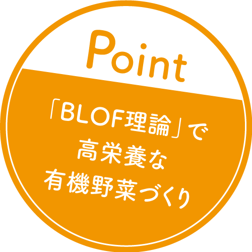 家庭菜園で有機栽培を学ぶ